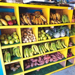West Phillie Produce