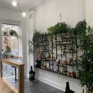 Dope Botanical's